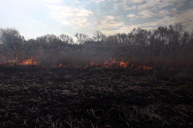 Вогонь випалив вже 855 га землі на Тернопільщині. Паліїв не зупиняють ні стотисячні штрафи, ні тюрма, фото №1 на сайті 20minut.ua