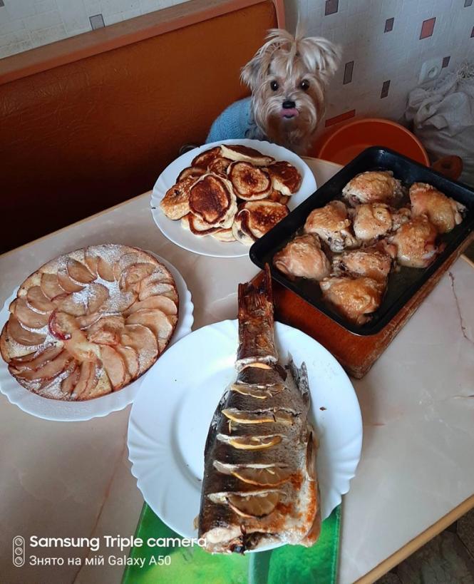 Новини Хмельницького - фото з “Готую більше і смачніше”: хмельничанка розповіла про домашнє меню на карантині “Готую більше і смачніше”: хмельничанка розповіла про домашнє меню на карантині, фото №6 на сайті vsim.ua