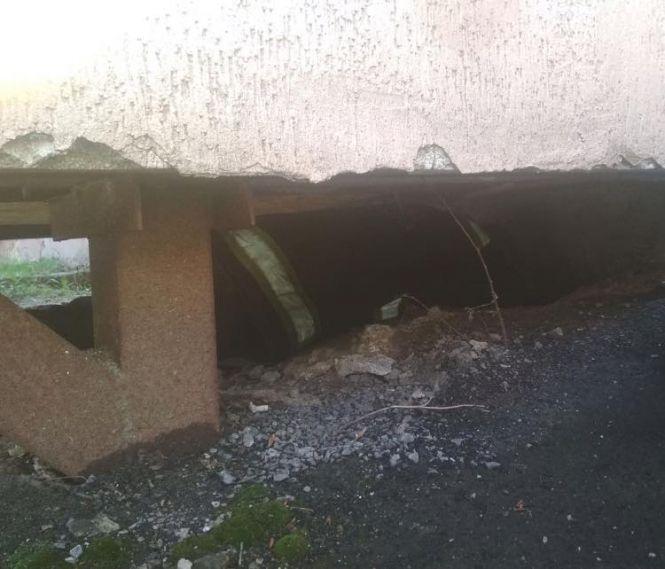 На Баженова врятували цуценя, яке дві доби сиділо у ямі та жалібно скавчало, фото №1 на сайті 20minut.ua