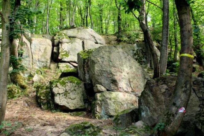 Новини Вінниці - фото з «Де гуляти, щоб не ризикувати?» ТОП-5 місць, куди у Вінниці піти після карантину «Де гуляти, щоб не ризикувати?» ТОП-5 місць, куди у Вінниці піти після карантину, фото №4 на сайті 20minut.ua