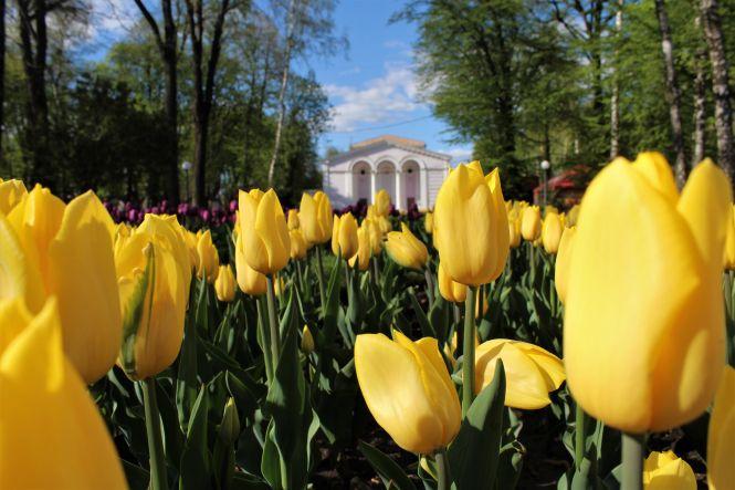 Новини Вінниці - фото з Як змінилося місто під час карантину? Фоторепортаж з вінницьких вулиць Як змінилося місто під час карантину? Фоторепортаж з вінницьких вулиць, фото №17 на сайті 20minut.ua