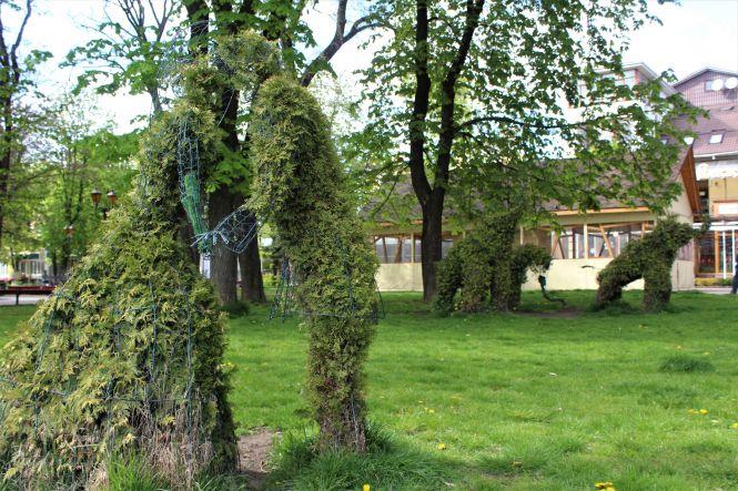 Новини Вінниці - фото з Як змінилося місто під час карантину? Фоторепортаж з вінницьких вулиць Як змінилося місто під час карантину? Фоторепортаж з вінницьких вулиць, фото №10 на сайті 20minut.ua