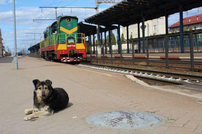 Новини Вінниці - фото з Як змінилося місто під час карантину? Фоторепортаж з вінницьких вулиць Як змінилося місто під час карантину? Фоторепортаж з вінницьких вулиць, фото №1 на сайті 20minut.ua