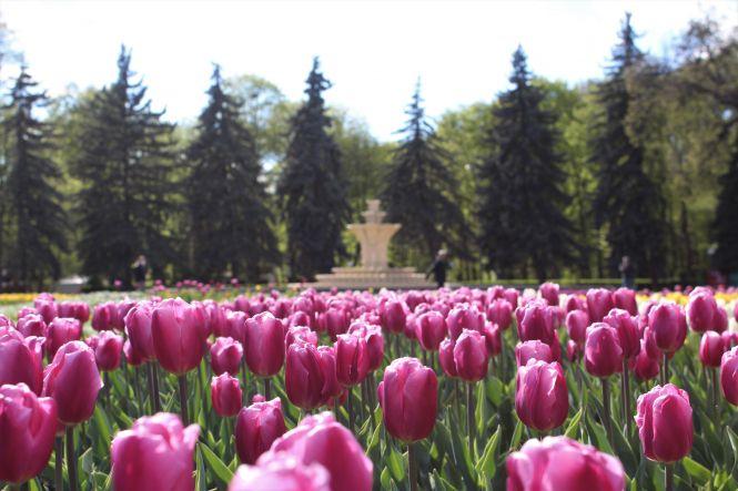 Новини Вінниці - фото з Як змінилося місто під час карантину? Фоторепортаж з вінницьких вулиць Як змінилося місто під час карантину? Фоторепортаж з вінницьких вулиць, фото №18 на сайті 20minut.ua