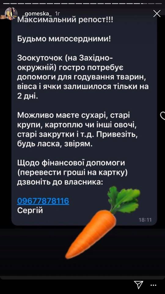 Новини Хмельницького - фото з “Запаси вичерпалися”: як карантин вплинув на життя тварин в зоокутках Хмельницького “Запаси вичерпалися”: як карантин вплинув на життя тварин в зоокутках Хмельницького, фото №2 на сайті vsim.ua