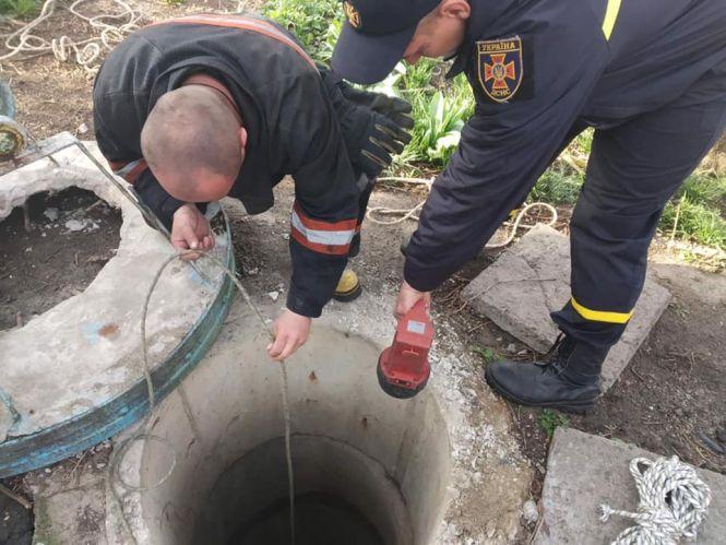 Рятувальники дістали козеня, яке впало в 20-ти метрову криницю, фото №1 на сайті 20minut.ua