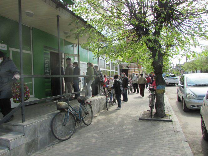 Новини Козятина - фото з Козятин у фото: сміття біля цвинтаря, котик Рудик та кронування дерев Козятин у фото: сміття біля цвинтаря, котик Рудик та кронування дерев, фото №1 на сайті 20minut.ua