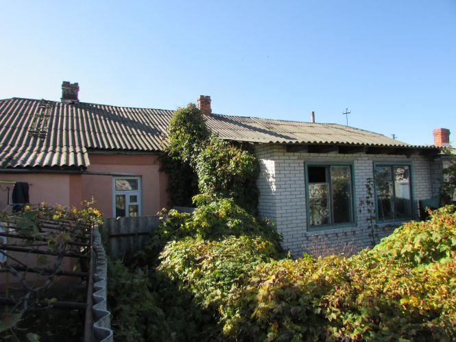 Новини Козятина - фото з Козятин у фото: сміття біля цвинтаря, котик Рудик та кронування дерев Козятин у фото: сміття біля цвинтаря, котик Рудик та кронування дерев, фото №4 на сайті 20minut.ua