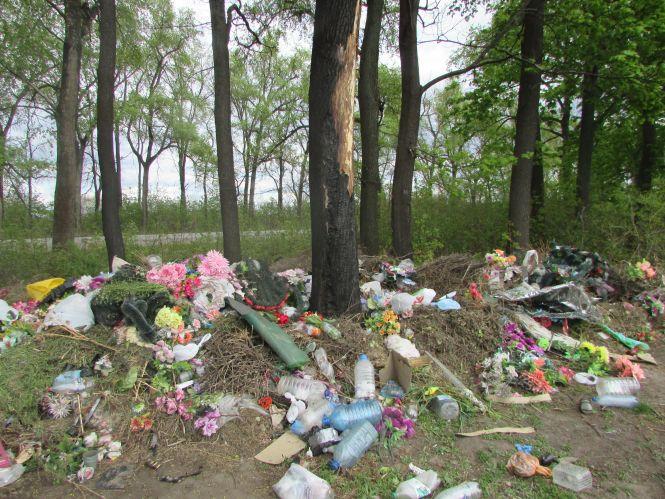 Новини Козятина - фото з Козятин у фото: сміття біля цвинтаря, котик Рудик та кронування дерев Козятин у фото: сміття біля цвинтаря, котик Рудик та кронування дерев, фото №7 на сайті 20minut.ua