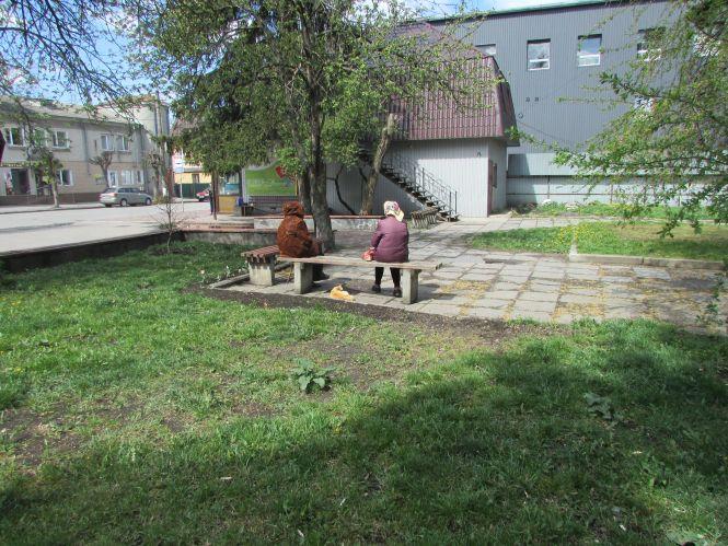 Новини Козятина - фото з Козятин у фото: сміття біля цвинтаря, котик Рудик та кронування дерев Козятин у фото: сміття біля цвинтаря, котик Рудик та кронування дерев, фото №3 на сайті 20minut.ua