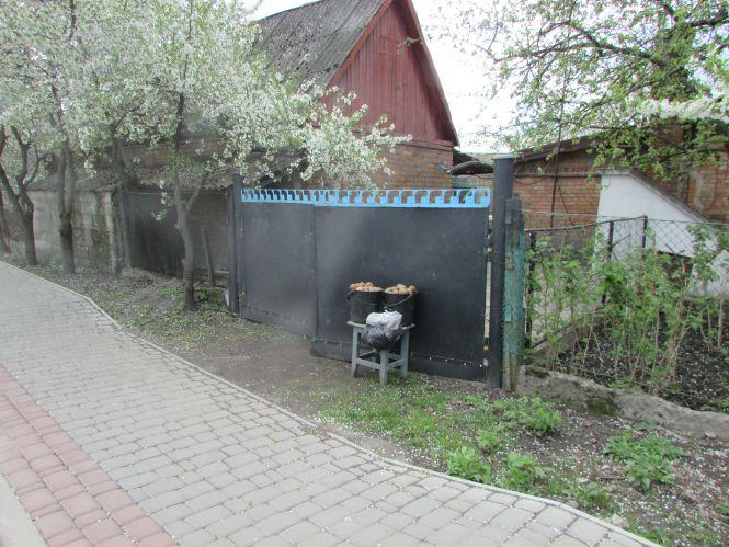 Новини Козятина - фото з Козятин у фото: сміття біля цвинтаря, котик Рудик та кронування дерев Козятин у фото: сміття біля цвинтаря, котик Рудик та кронування дерев, фото №5 на сайті 20minut.ua