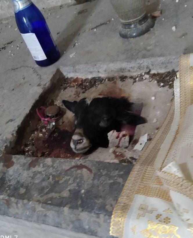 «Мало нам коронавірусу, треба ще й сатанистів…» : хто осквернив костел у Борщеві?, фото №3 на сайті 20minut.ua