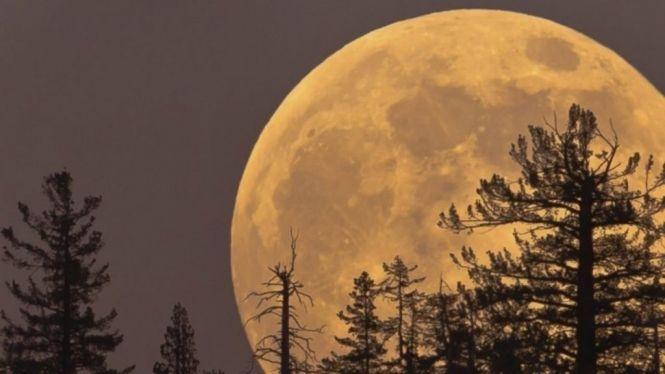 Пік Акваріди та останній Супермісяць: цікаві астрономічні явища у травні, фото №2 на сайті vsim.ua