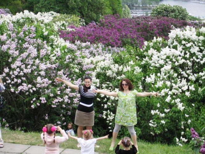 Акцію #500дерев через карантин перенесли на осінь, фото №1 на сайті 20minut.ua