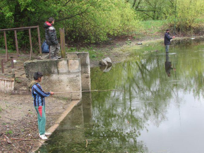 Новини Козятина - фото з Рибу в Іванківцях отруїли з добрих намірів? Рибу в Іванківцях отруїли з добрих намірів?, фото №1 на сайті 20minut.ua