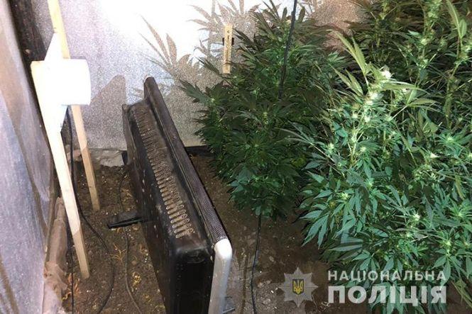 Новини Тернополя - фото з На Тернопільщині чоловік влаштував у гаражі конопляну теплицю (ФОТО) На Тернопільщині чоловік влаштував у гаражі конопляну теплицю (ФОТО), фото №4 на сайті 20minut.ua