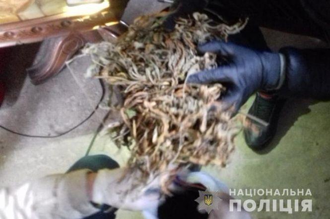 Новини Тернополя - фото з На Тернопільщині чоловік влаштував у гаражі конопляну теплицю (ФОТО) На Тернопільщині чоловік влаштував у гаражі конопляну теплицю (ФОТО), фото №2 на сайті 20minut.ua