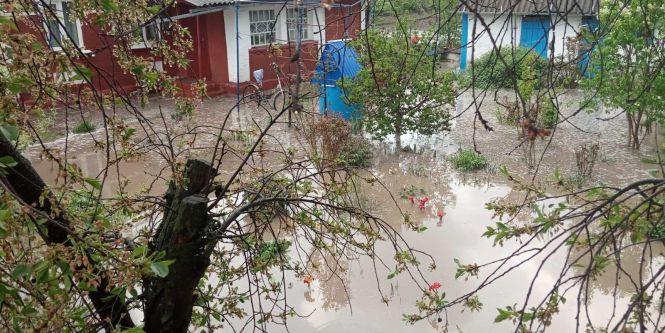 Новини Вінниці - фото з «Його тіло несло в річку Рось». Під час зливи трагічно загинув чоловік «Його тіло несло в річку Рось». Під час зливи трагічно загинув чоловік, фото №3 на сайті 20minut.ua