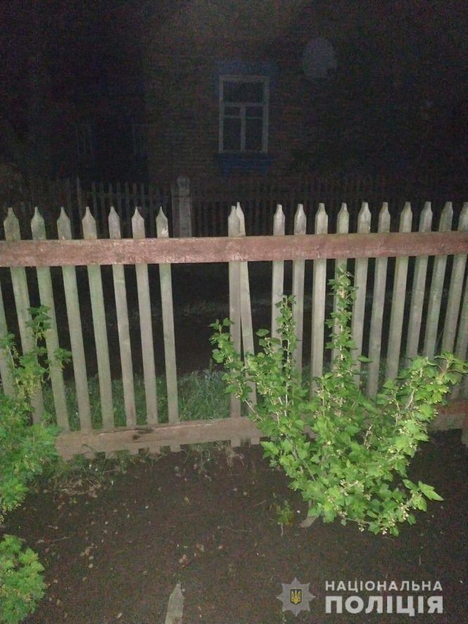 Розбій на Грушевського: озброєні ножами хулігани напали на козятинчанку, фото №1 на сайті 20minut.ua