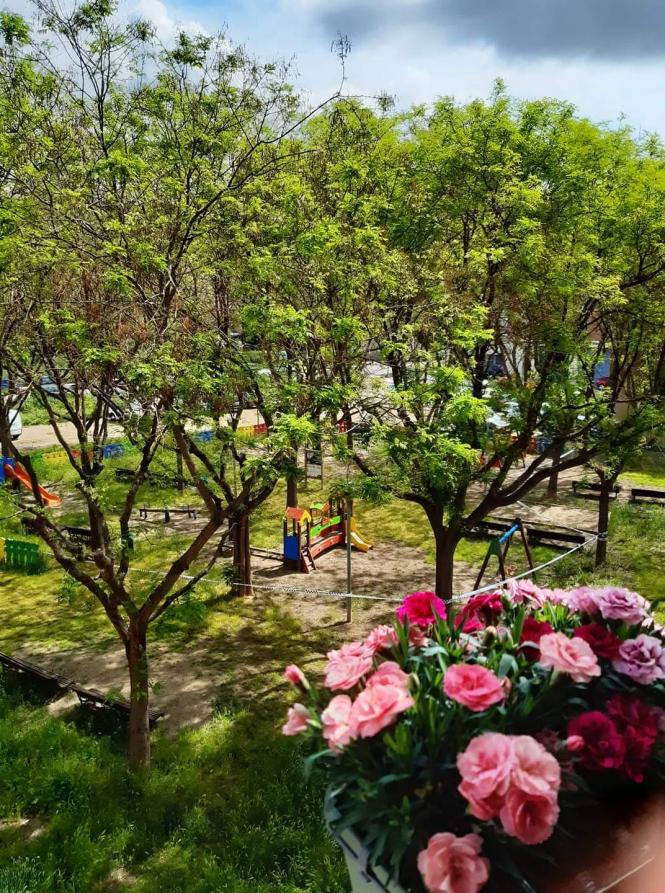 Новини Тернополя - фото з Креатив на вікнах та місце для кавування: як карантин надихнув тернополян навести лад на балконах. ФОТО Креатив на вікнах та місце для кавування: як карантин надихнув тернополян навести лад на балконах. ФОТО, фото №3 на сайті 20minut.ua