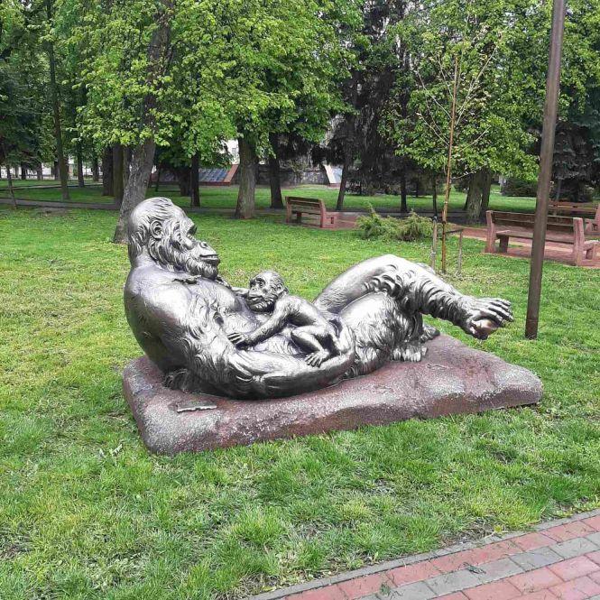 Новини Вінниці - фото з На Європейській площі оселилася мавпяча родина та маленьке жабеня На Європейській площі оселилася мавпяча родина та маленьке жабеня, фото №1 на сайті 20minut.ua