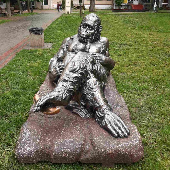 Новини Вінниці - фото з На Європейській площі оселилася мавпяча родина та маленьке жабеня На Європейській площі оселилася мавпяча родина та маленьке жабеня, фото №2 на сайті 20minut.ua