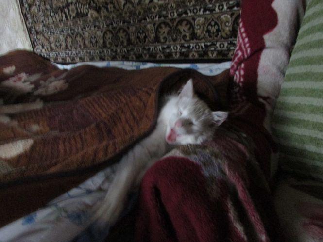 Козятин у фото: «особливий люк», баки-вагони та каміння посеред вулиці, фото №5 на сайті 20minut.ua