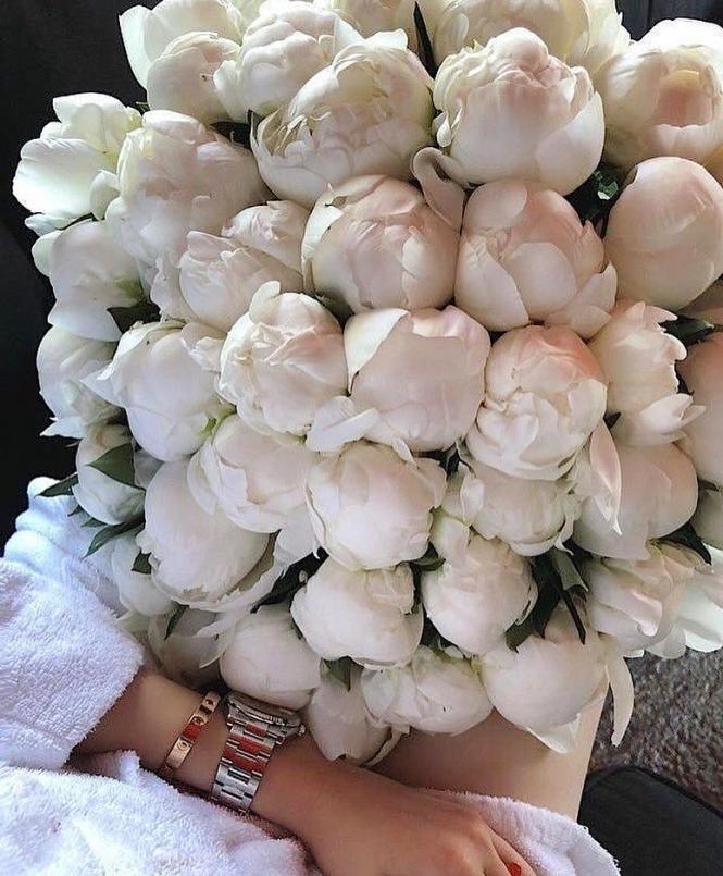 Квітучий Тернопіль у Instagram: залишайте своє фото із весняними квітами, фото №2 на сайті 20minut.ua