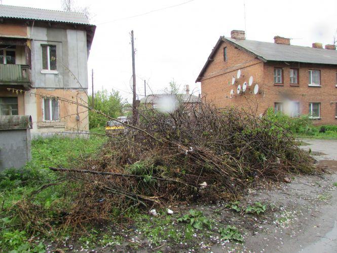 Смітник на вулиці Кошового створили через те, що вчасно не вивезли гілля, фото №1 на сайті 20minut.ua