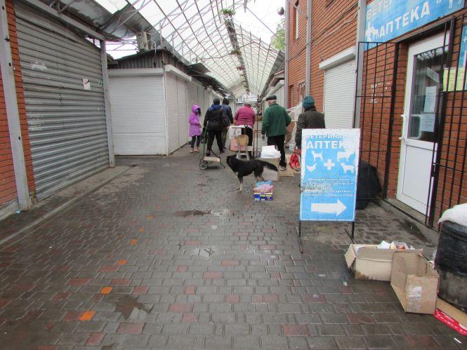 Козятин у фото: «особливий люк», баки-вагони та каміння посеред вулиці, фото №3 на сайті 20minut.ua