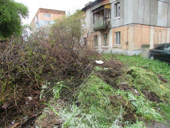 Смітник на вулиці Кошового створили через те, що вчасно не вивезли гілля, фото №2 на сайті 20minut.ua