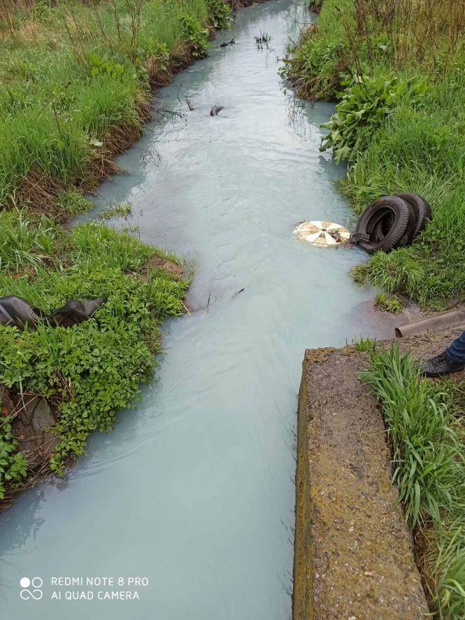 Вода у річці Тяжилівка змінила колір. Екологи почали перевірку, фото №1 на сайті 20minut.ua