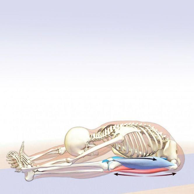 Новини Козятина - фото з 3 вправи, які поліпшать роботу дихальної системи 3 вправи, які поліпшать роботу дихальної системи, фото №1 на сайті 20minut.ua