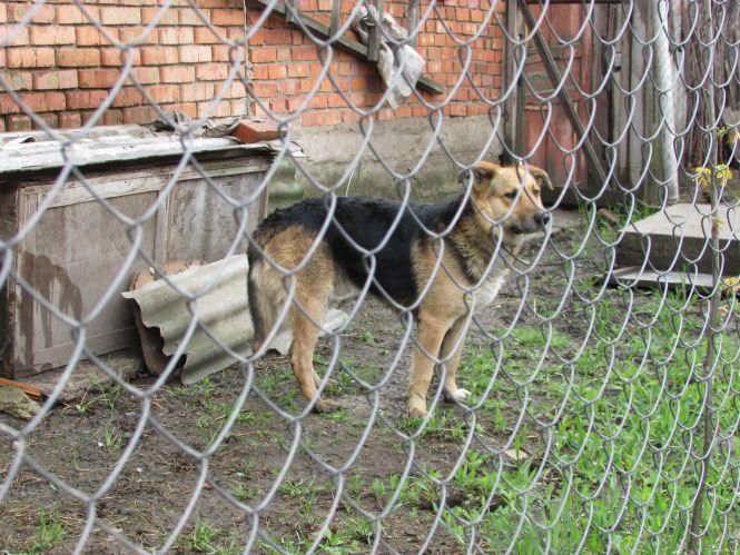 Важливе за вихідні: ТОП новин для козятинчан, фото №4 на сайті 20minut.ua