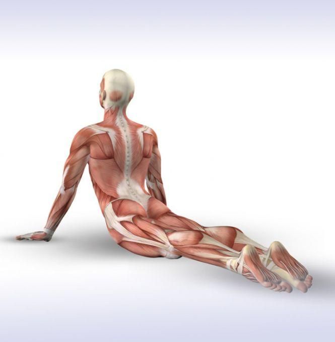 Новини Козятина - фото з 3 вправи, які поліпшать роботу дихальної системи 3 вправи, які поліпшать роботу дихальної системи, фото №2 на сайті 20minut.ua