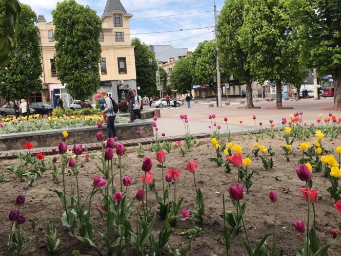 Новини Хмельницького - фото з Багатолюдна “стометрівка” і відкриті кафе: як Хмельницький оживає після послаблення карантину (ФОТО) Багатолюдна “стометрівка” і відкриті кафе: як Хмельницький оживає після послаблення карантину (ФОТО), фото №20 на сайті vsim.ua