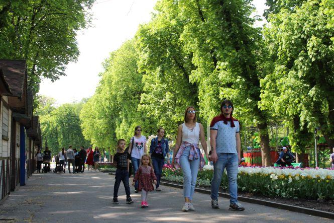 Новини Вінниці - фото з Люди йдуть стригтися і в McDonald’s. Як ожило місто у перший день послаблення карантину Люди йдуть стригтися і в McDonald’s. Як ожило місто у перший день послаблення карантину, фото №8 на сайті 20minut.ua