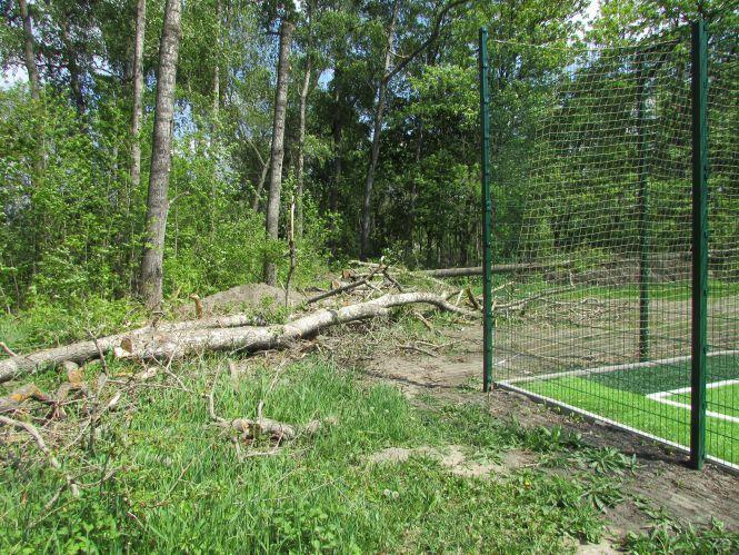 Козятин у фото: активний відпочинок та кронування дерев, фото №5 на сайті 20minut.ua