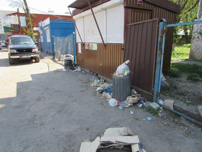 Козятин у фото: активний відпочинок та кронування дерев, фото №4 на сайті 20minut.ua