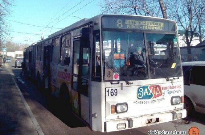 Як з 14 травня в Тернополі курсуватимуть тролейбуси і автобуси, що виконують спеціальні перевезення, фото №1 на сайті 20minut.ua