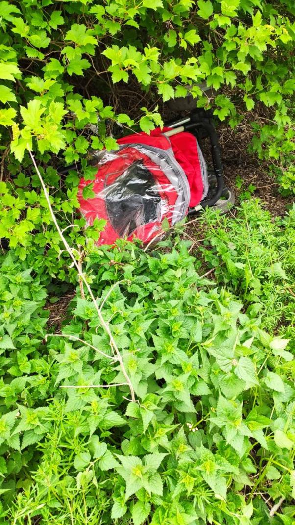 Новини Хмельницького - фото з У Хмельницькому вагітна жінка з двома доньками жила в очереті. Подробиці шокуючої історії У Хмельницькому вагітна жінка з двома доньками жила в очереті. Подробиці шокуючої історії, фото №8 на сайті vsim.ua