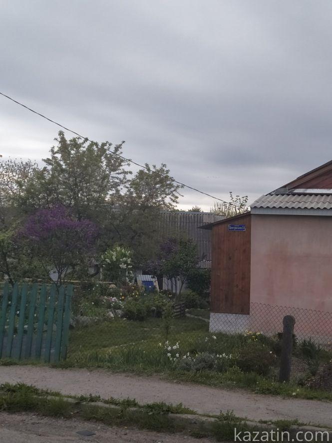 Фото дня: Козятин квітне бузком та каштанами, фото №2 на сайті 20minut.ua