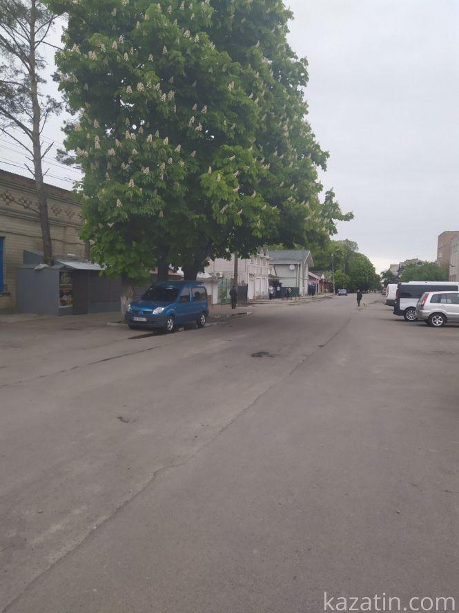 Фото дня: Козятин квітне бузком та каштанами, фото №9 на сайті 20minut.ua