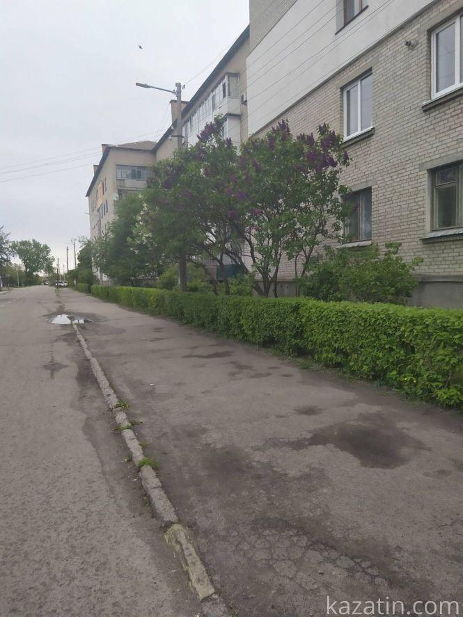 Фото дня: Козятин квітне бузком та каштанами, фото №10 на сайті 20minut.ua