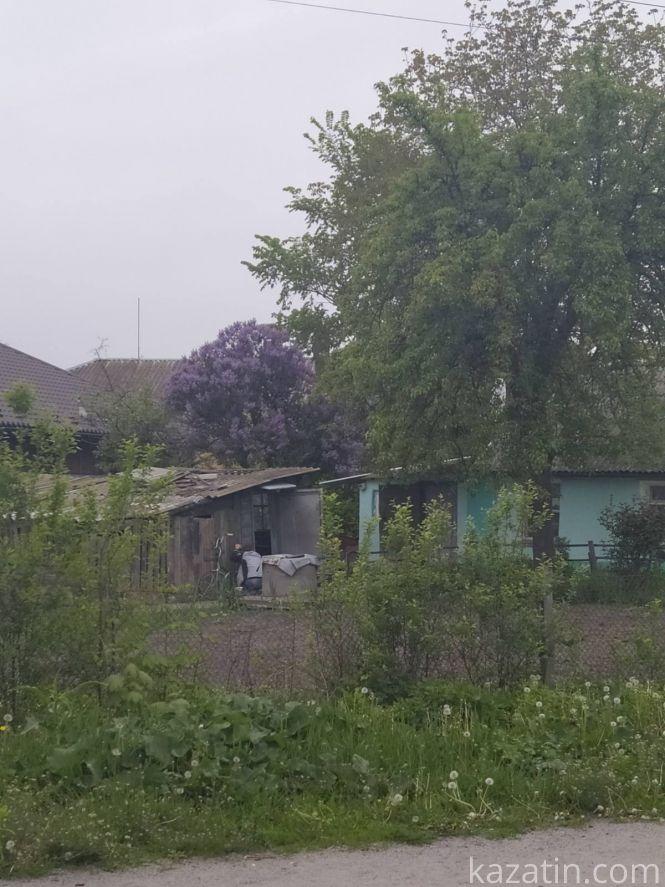 Фото дня: Козятин квітне бузком та каштанами, фото №3 на сайті 20minut.ua