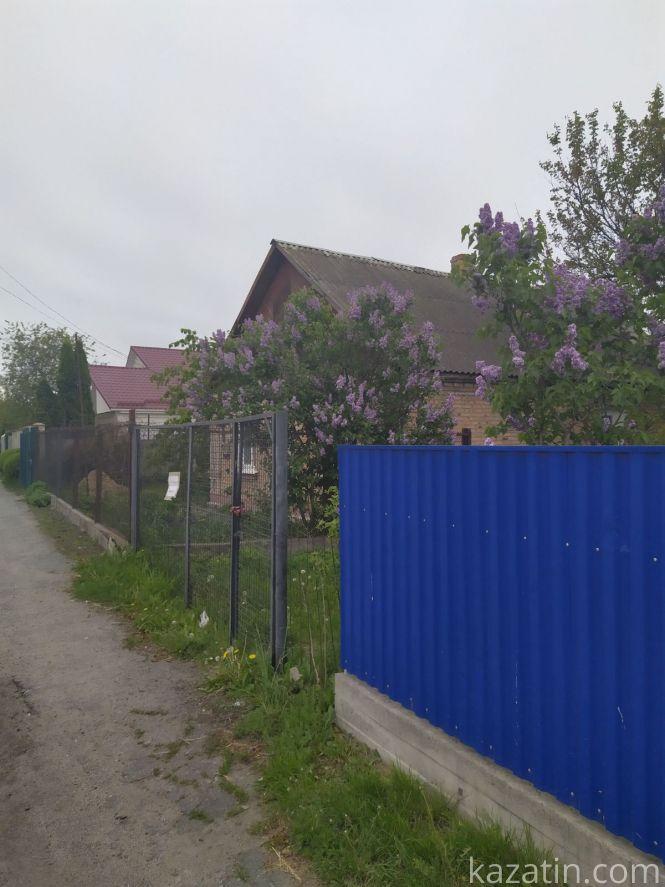 Фото дня: Козятин квітне бузком та каштанами, фото №6 на сайті 20minut.ua