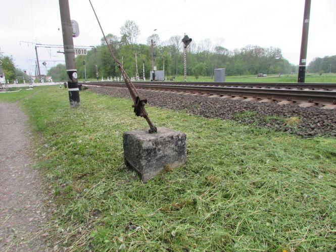 Фото дня: латані дороги, молоді господарки та карантинна розмітка, фото №8 на сайті 20minut.ua