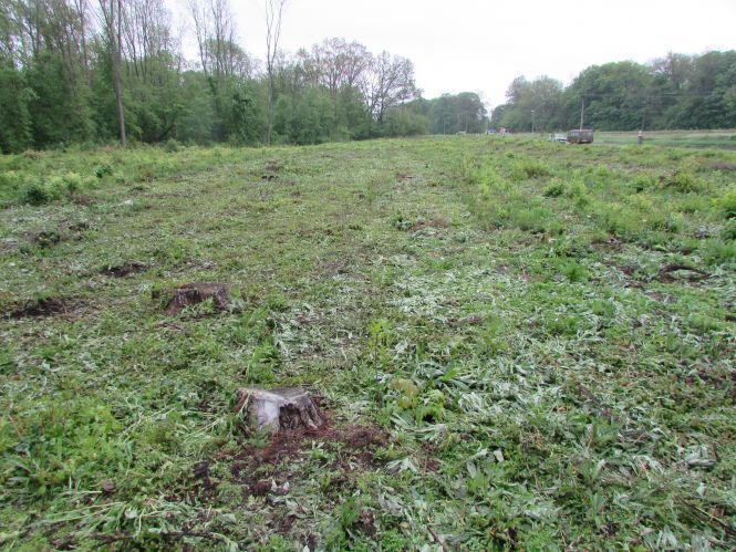 Фото дня: латані дороги, молоді господарки та карантинна розмітка, фото №7 на сайті 20minut.ua