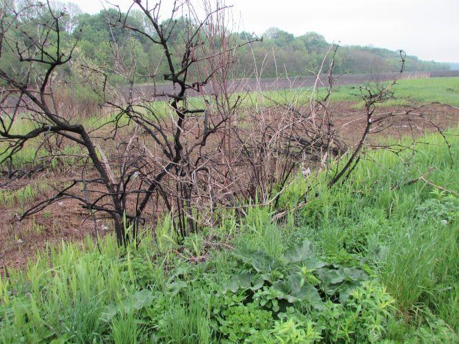 Фото дня: латані дороги, молоді господарки та карантинна розмітка, фото №9 на сайті 20minut.ua