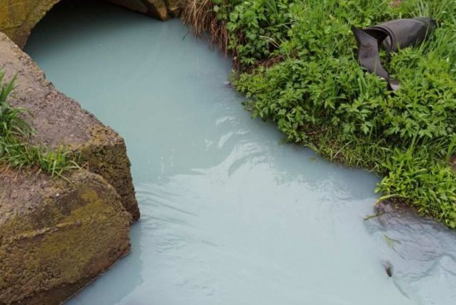 Вода у річці Тяжилівка змінила колір. Екологи почали перевірку